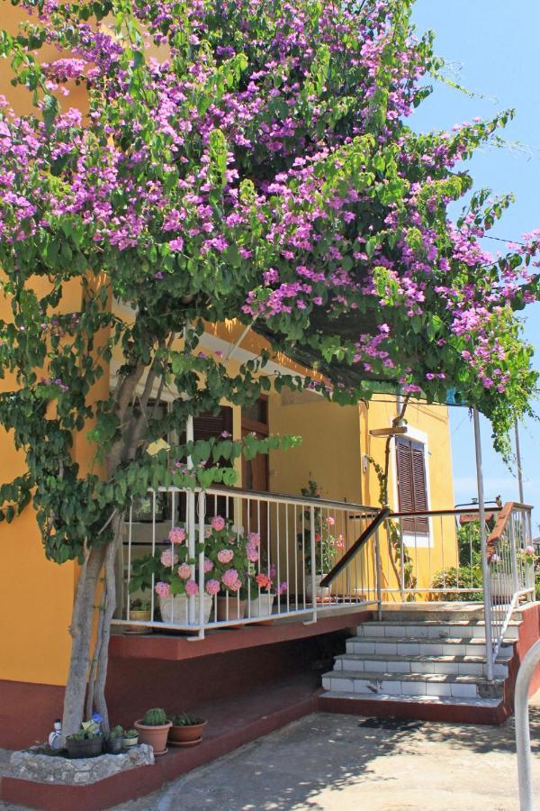 Apartments By The Sea Sali, Dugi Otok - 8110 Zewnętrze zdjęcie
